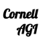 Cornell AGI (REBEL)